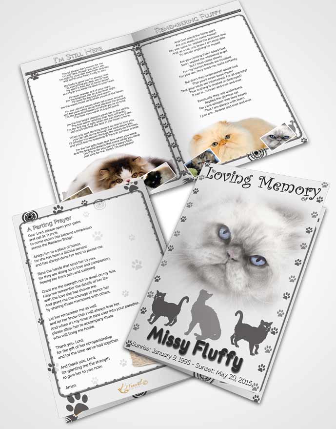 Bifold Order Of Service Obituary Template Brochure Black and White Fluffy Cat
