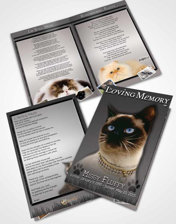 Bifold Order Of Service Obituary Template Brochure Black and White Fluffy Kitty