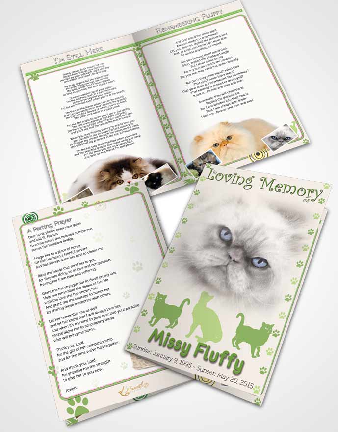 Bifold Order Of Service Obituary Template Brochure Emerald Fluffy Cat