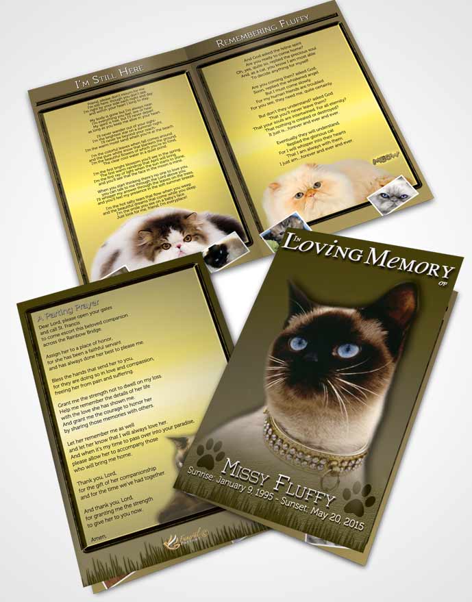 Bifold Order Of Service Obituary Template Brochure Emerald Fluffy Kitty