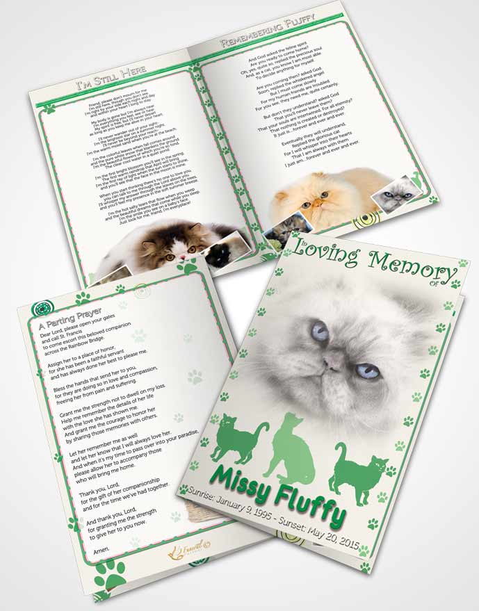 Bifold Order Of Service Obituary Template Brochure Forest Fluffy Cat