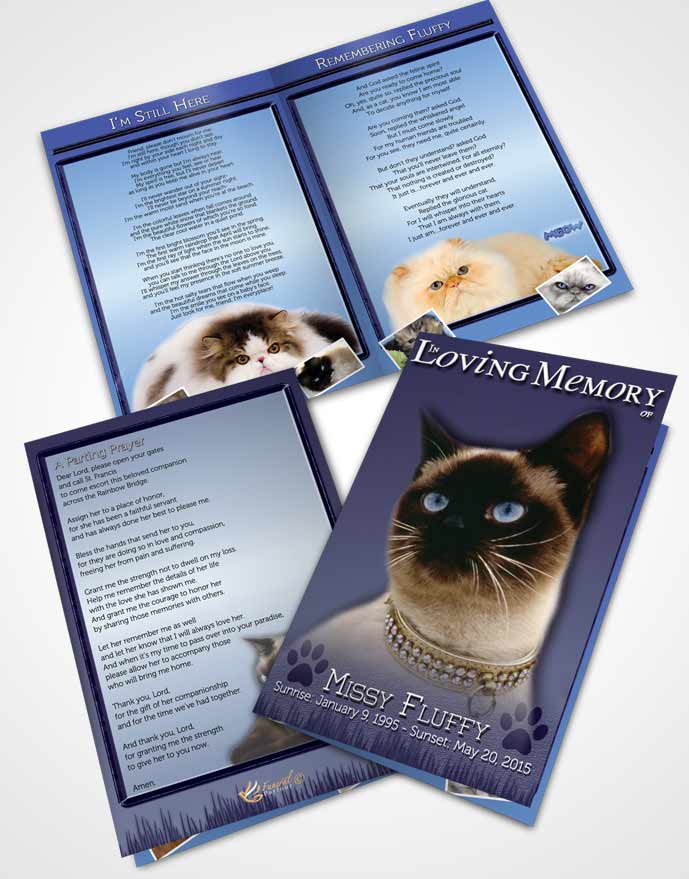 Bifold Order Of Service Obituary Template Brochure Blue Fluffy Kitty