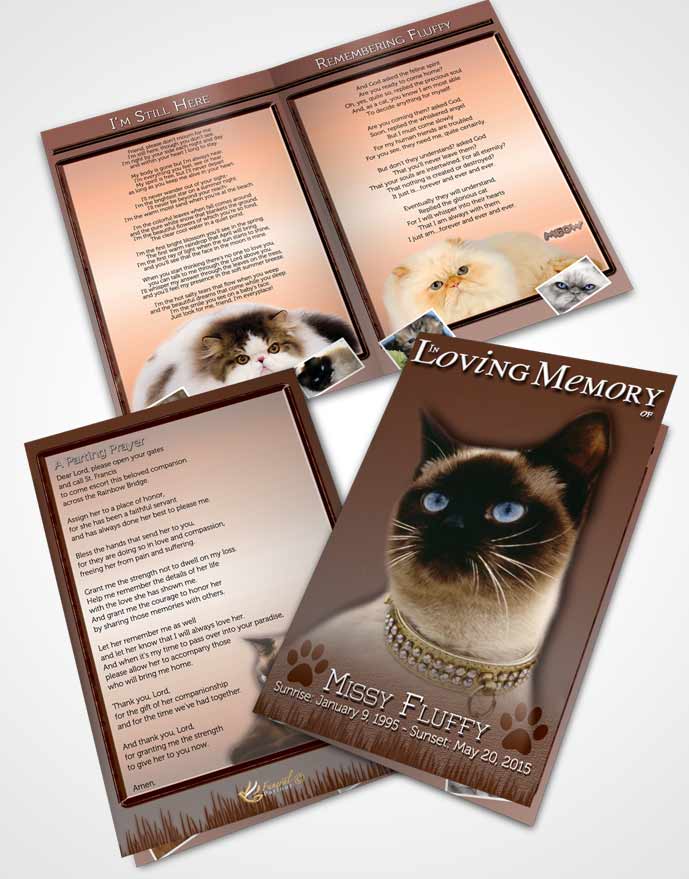 Bifold Order Of Service Obituary Template Brochure Peach Fluffy Kitty