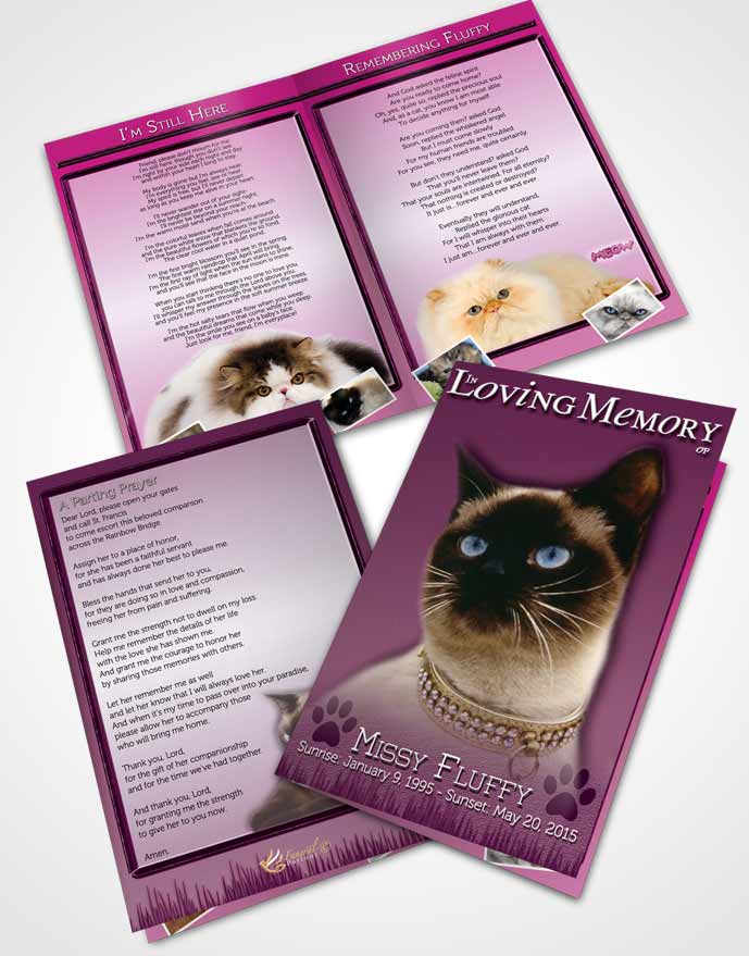Bifold Order Of Service Obituary Template Brochure Pinky Fluffy Kitty