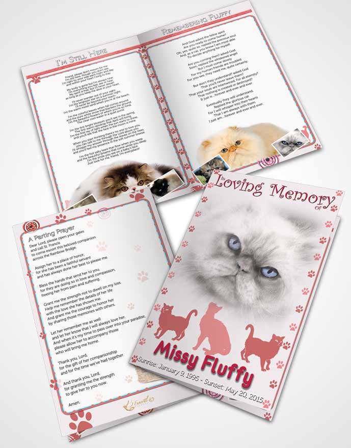 Bifold Order Of Service Obituary Template Brochure Rosy Fluffy Cat