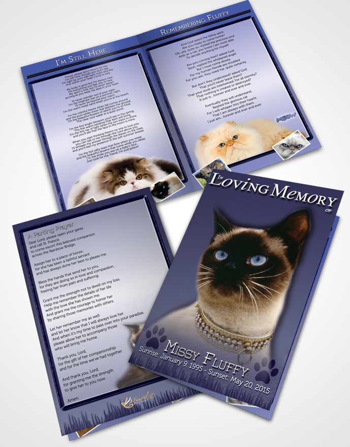 Bifold Order Of Service Obituary Template Brochure Sky Blue Fluffy Kitty