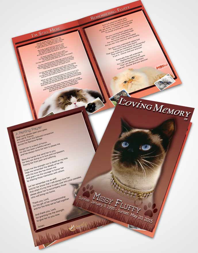 Bifold Order Of Service Obituary Template Brochure Strawberry Fluffy Kitty