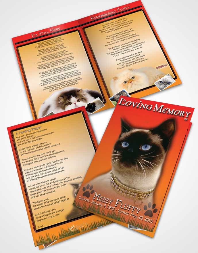 Bifold Order Of Service Obituary Template Brochure Summer Stroll Fluffy Kitty