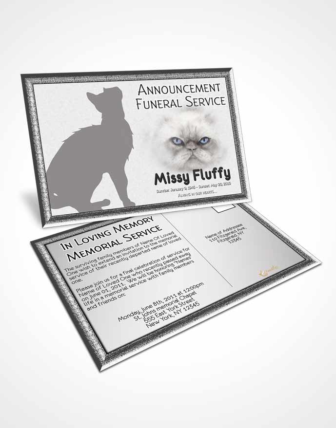 Funeral Prayer Card Template Black and White Fluffy Cat