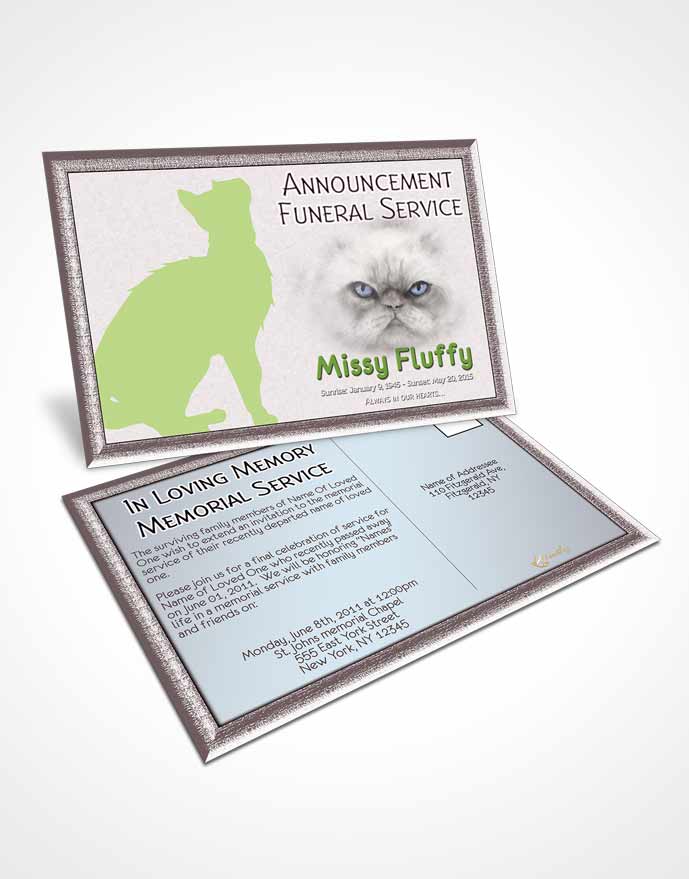 Funeral Prayer Card Template Emerald Fluffy Cat