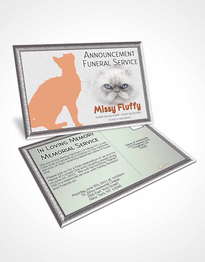 Funeral Prayer Card Template Peachy Fluffy Cat