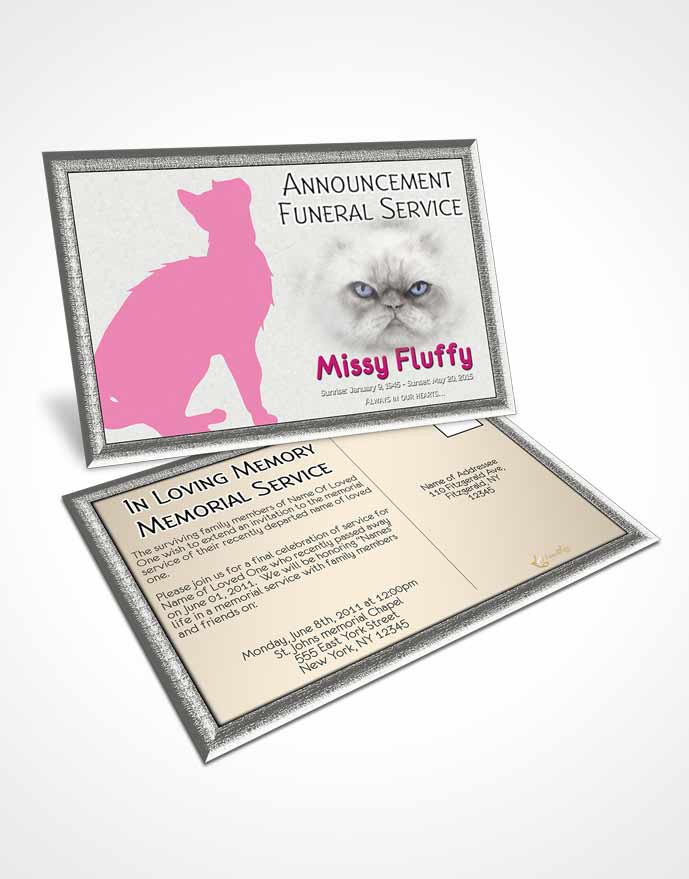 Funeral Announcement Card Template Pink Fluffy Cat