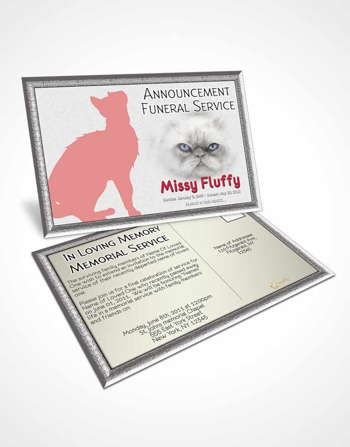 Funeral Announcement Card Template Rosy Fluffy Cat