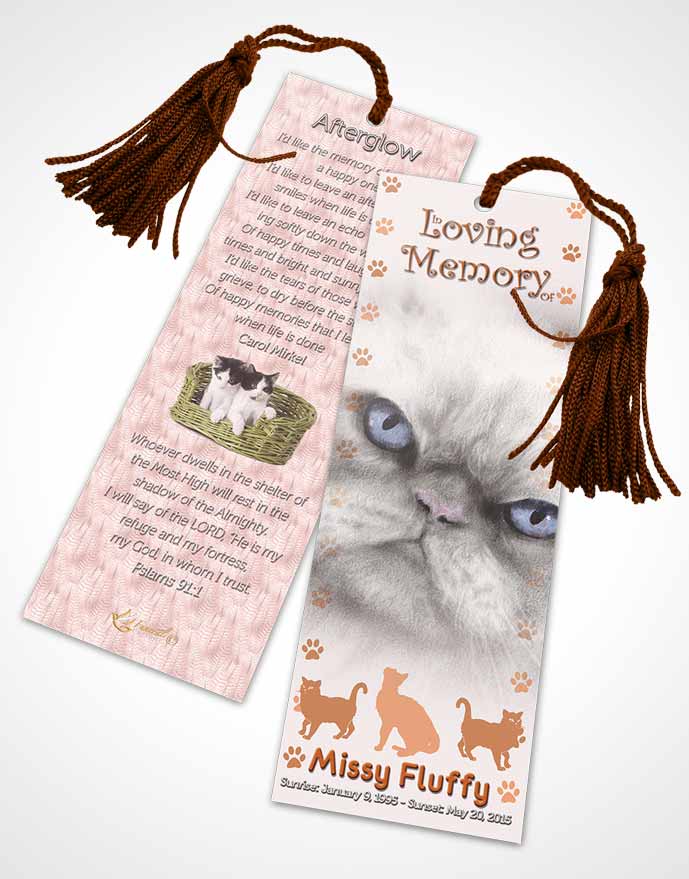 Funeral Bookmark Template Peachy Fluffy Cat