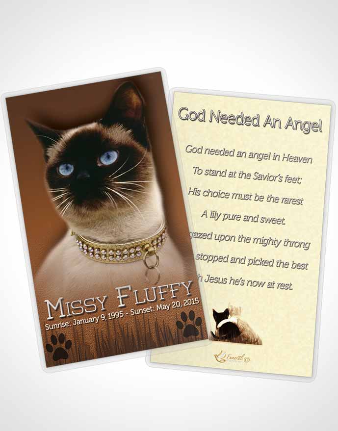 Funeral Thank You Card Template Golden Fluffy Kitty
