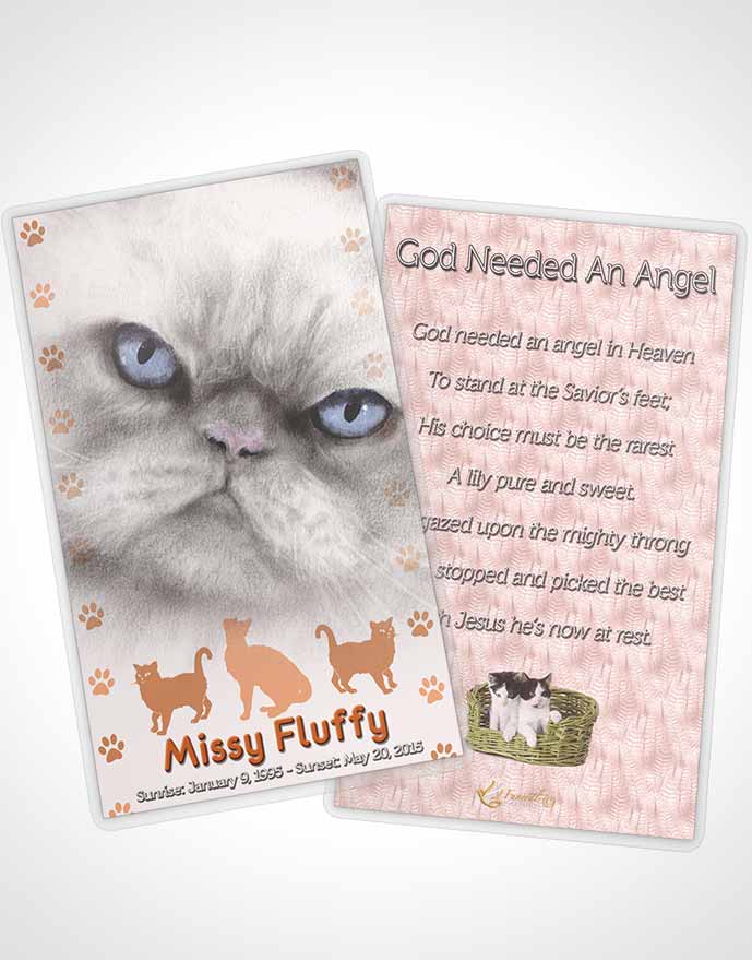 Funeral Thank You Card Template Peachy Fluffy Cat