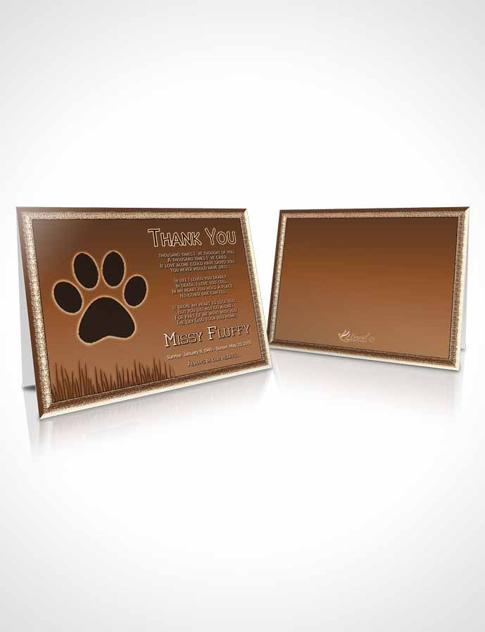 Funeral Thank You Card Template Golden Fluffy Kitty