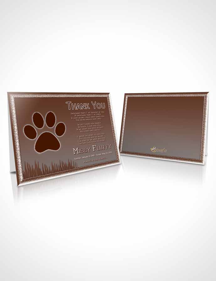 Funeral Thank You Card Template Misty Peach Fluffy Kitty