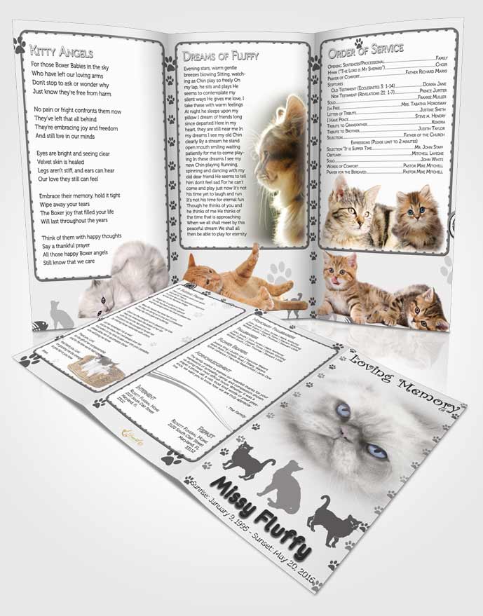 Obituary Template Trifold Brochure Black and White Fluffy Cat