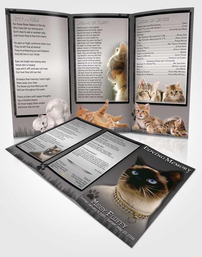 Obituary Template Trifold Brochure Black and White Fluffy Kitty