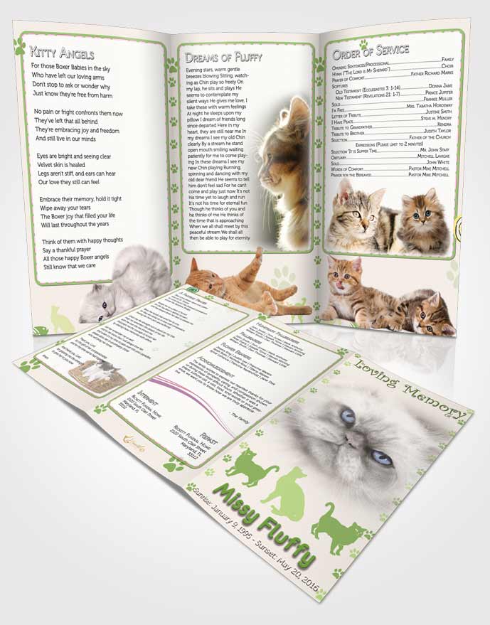 Obituary Template Trifold Brochure Emerald Fluffy Cat