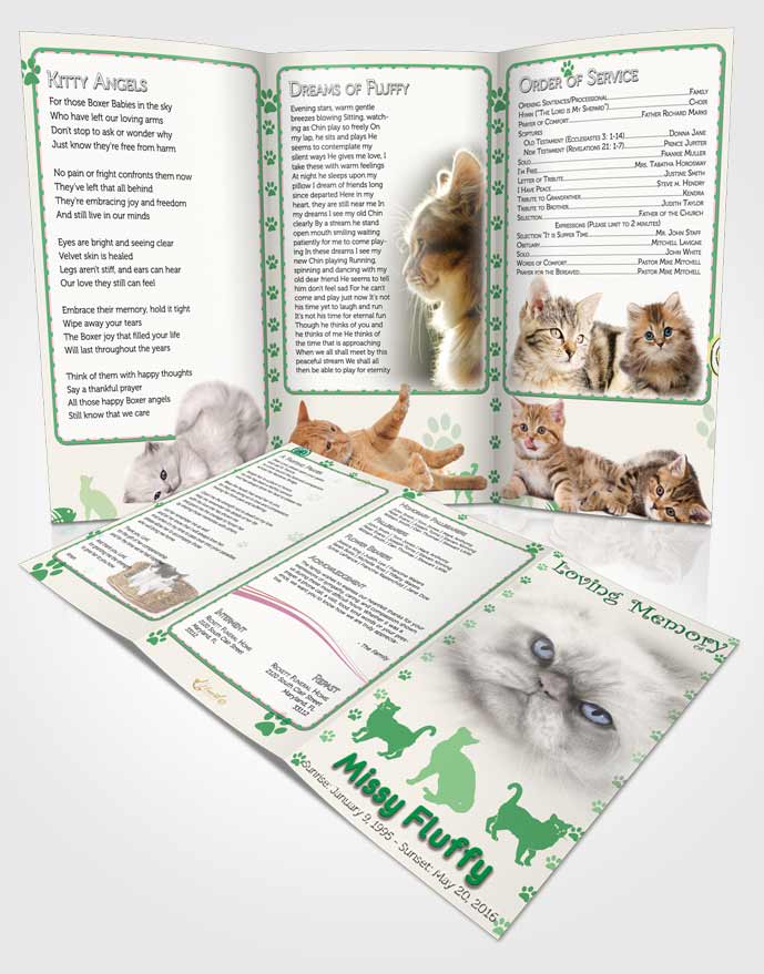 Obituary Template Trifold Brochure Forest Fluffy Cat