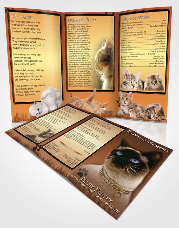Obituary Template Trifold Brochure Golden Fluffy Kitty