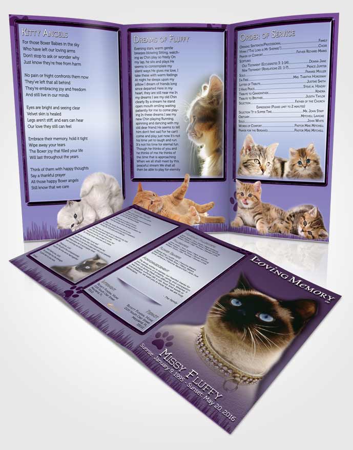 Obituary Template Trifold Brochure Lavender Fluffy Kitty