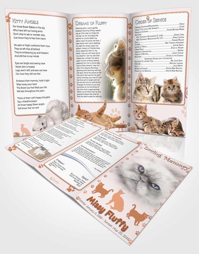 Obituary Template Trifold Brochure Peachy Fluffy Cat