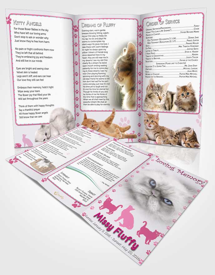 Obituary Template Trifold Brochure Pink Fluffy Cat