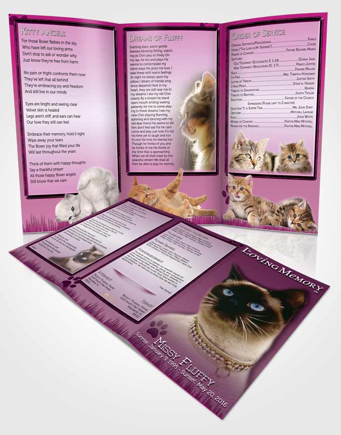 Obituary Template Trifold Brochure Pinky Fluffy Kitty