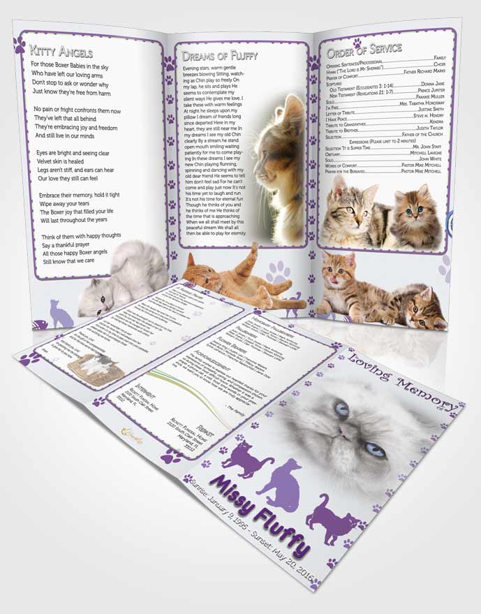 Obituary Template Trifold Brochure Purple Fluffy Cat