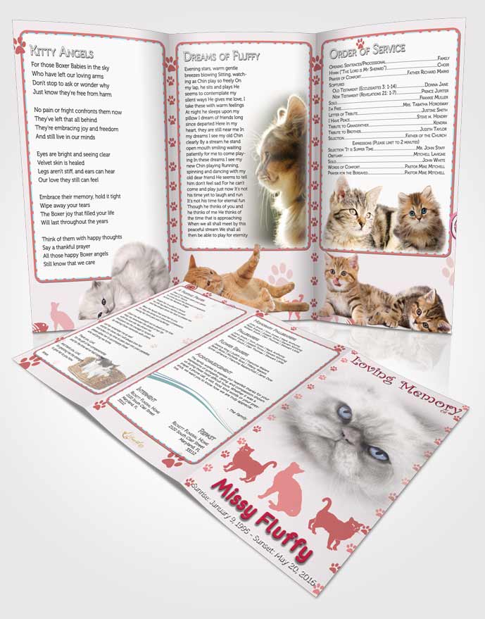 Obituary Template Trifold Brochure Rosy Fluffy Cat