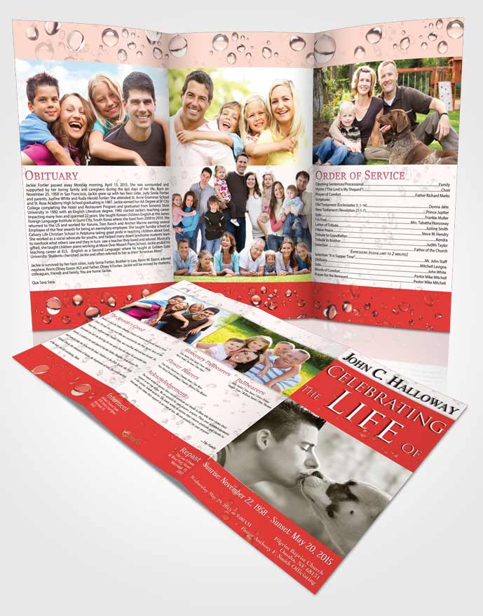 Obituary Template Trifold Brochure Lovely Enchantment