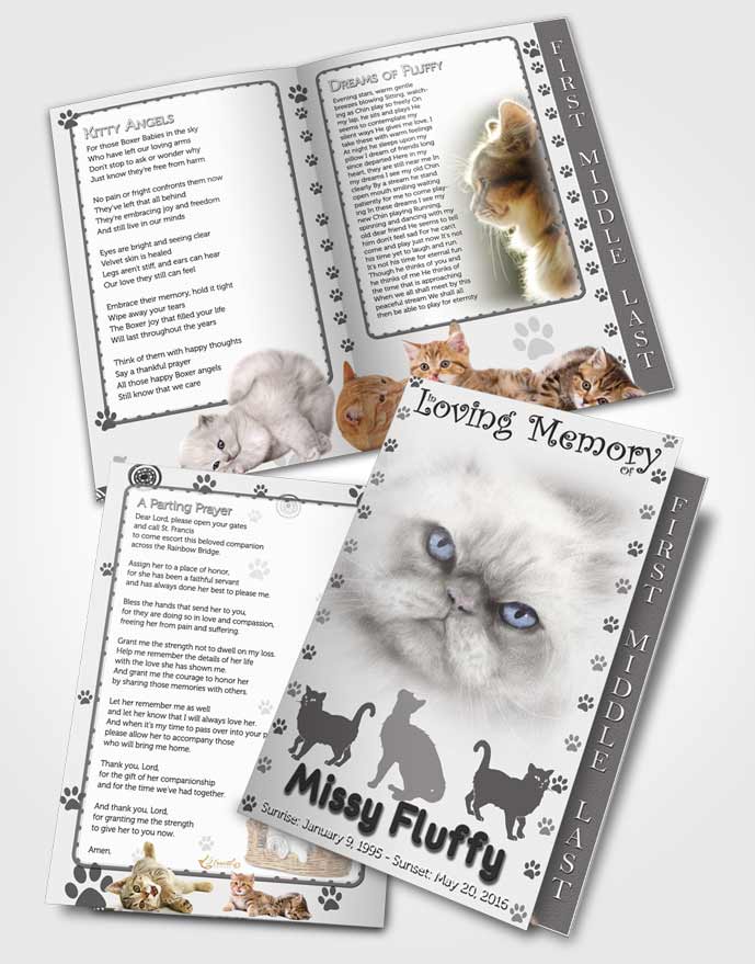 2 Page Graduated Step Fold Funeral Program Template Brochure Black and White Fluffy Cat