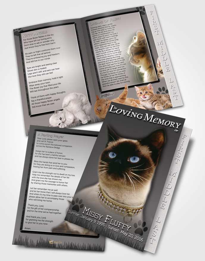 2 Page Graduated Step Fold Funeral Program Template Brochure Black and White Fluffy Kitty