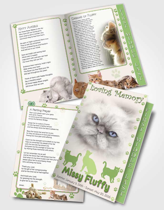 2 Page Graduated Step Fold Funeral Program Template Brochure Emerald Fluffy Cat