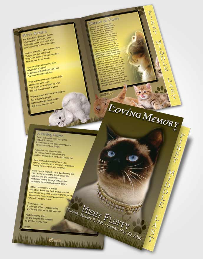 2 Page Graduated Step Fold Funeral Program Template Brochure Emerald Fluffy Kitty