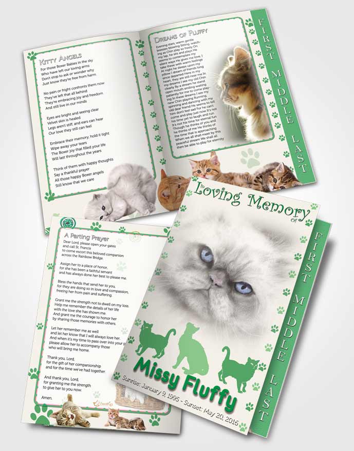 2 Page Graduated Step Fold Funeral Program Template Brochure Forest Fluffy Cat