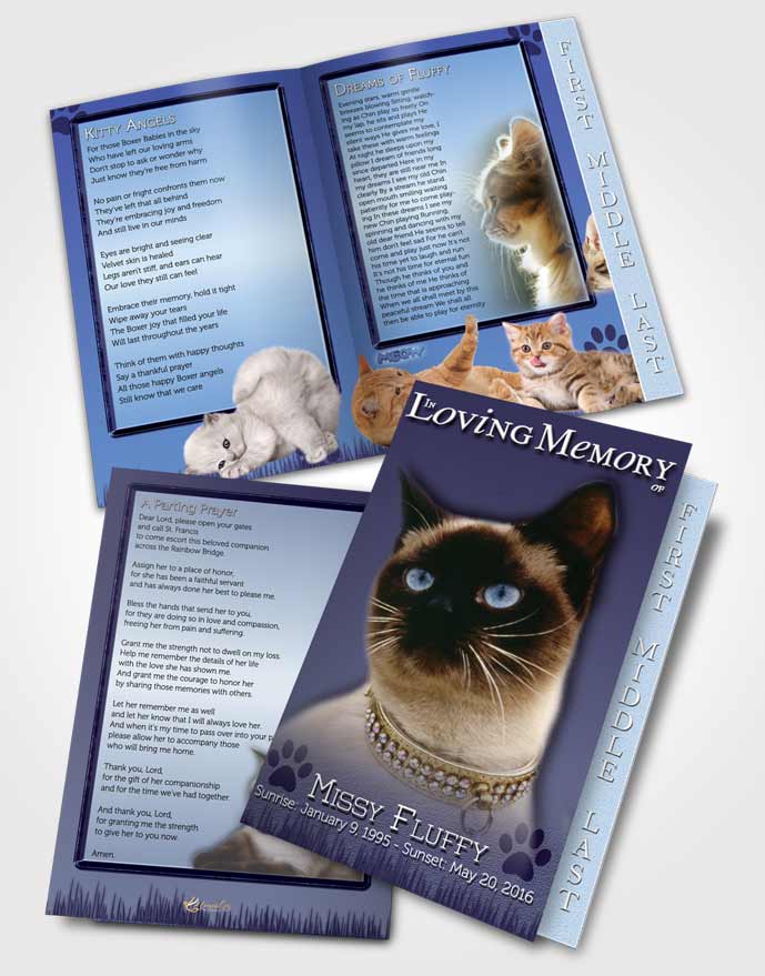 2 Page Graduated Step Fold Funeral Program Template Brochure Blue Fluffy Kitty