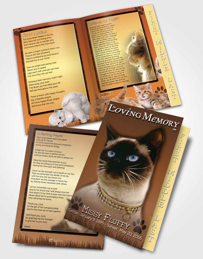2 Page Graduated Step Fold Funeral Program Template Brochure Golden Fluffy Kitty