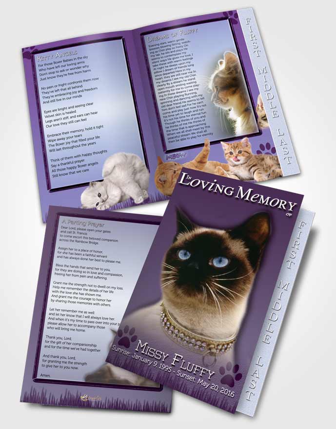 2 Page Graduated Step Fold Funeral Program Template Brochure Lavender Fluffy Kitty