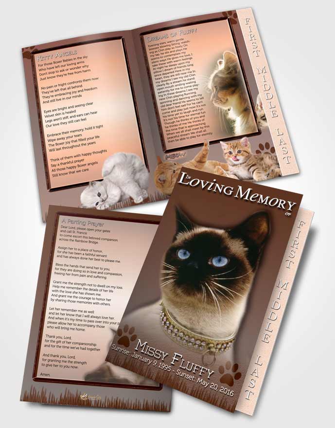 2 Page Graduated Step Fold Funeral Program Template Brochure Peach Fluffy Kitty