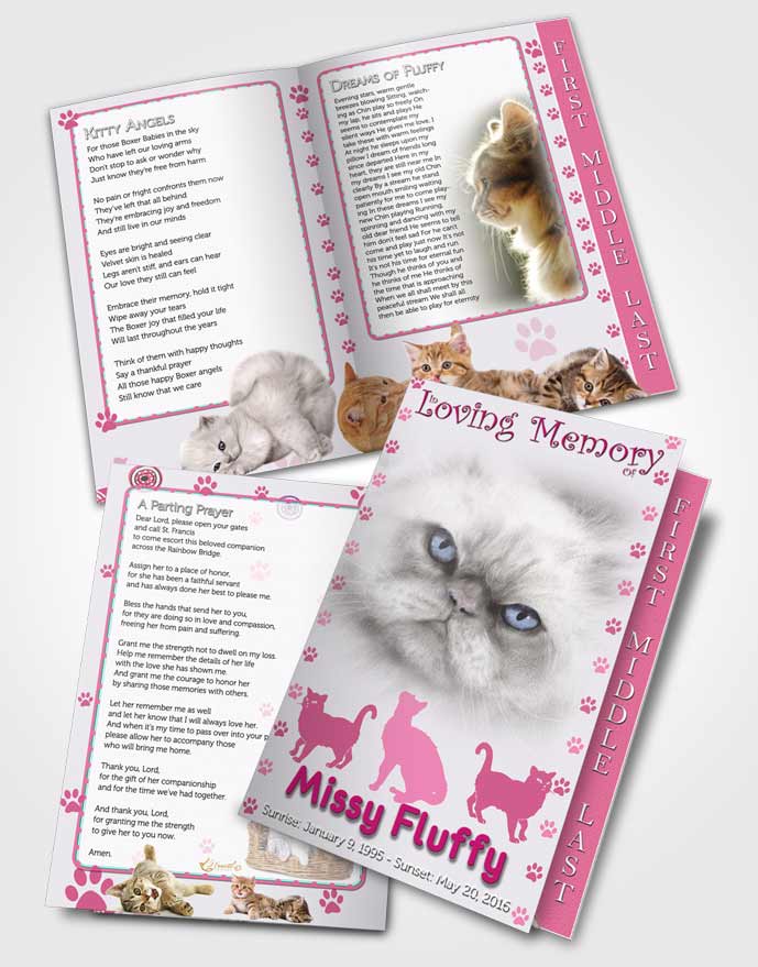2 Page Graduated Step Fold Funeral Program Template Brochure Pink Fluffy Cat