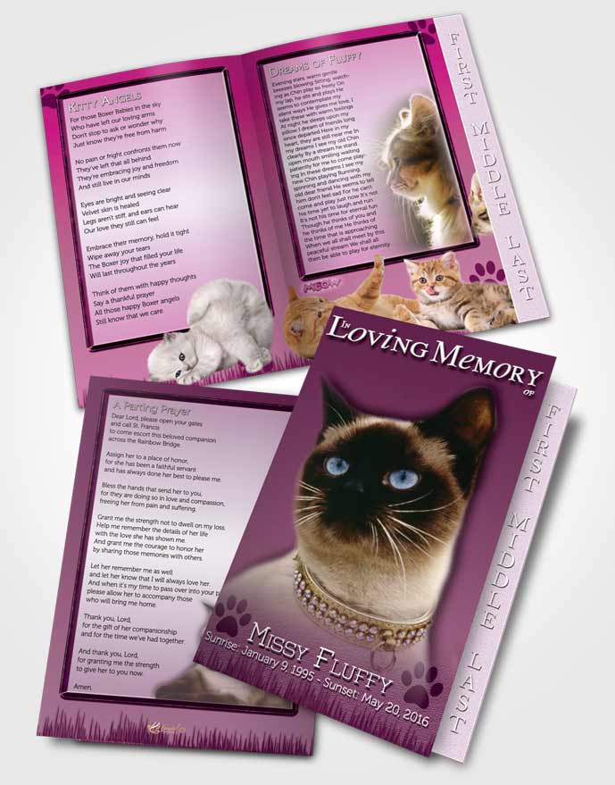 2 Page Graduated Step Fold Funeral Program Template Brochure Pinky Fluffy Kitty