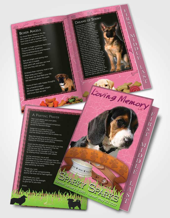 2 Page Graduated Step Fold Funeral Program Template Brochure Pinky Sparky the Dog
