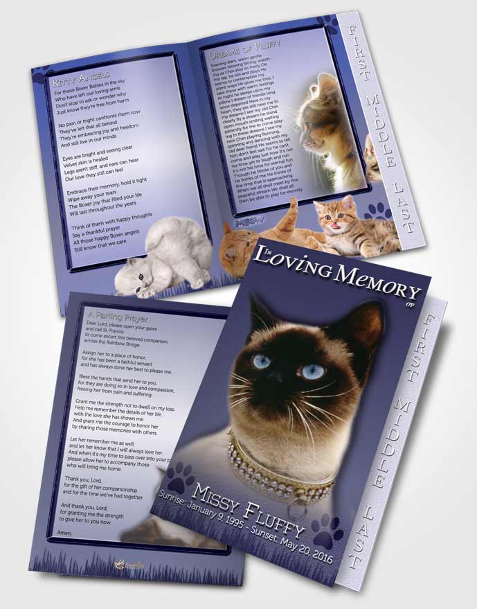 2 Page Graduated Step Fold Funeral Program Template Brochure Sky Blue Fluffy Kitty