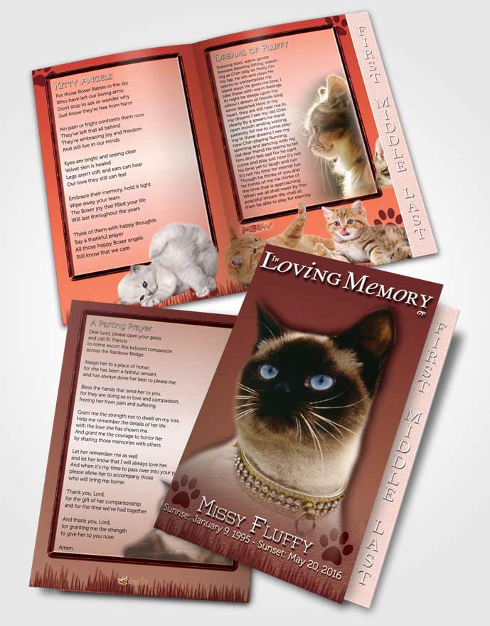 2 Page Graduated Step Fold Funeral Program Template Brochure Strawberry Fluffy Kitty