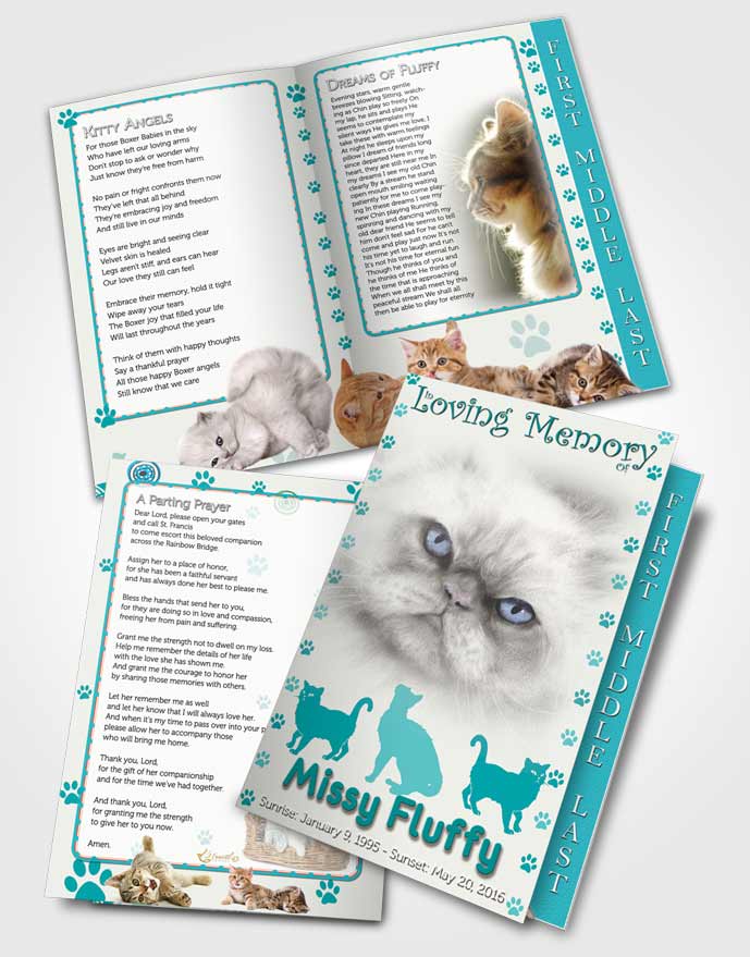 2 Page Graduated Step Fold Funeral Program Template Brochure Turquoise Fluffy Cat