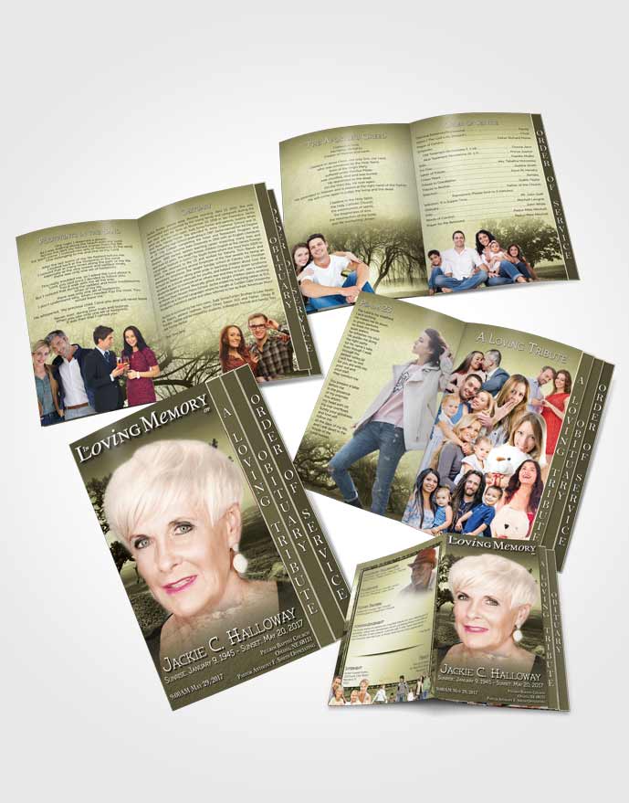 4 Page Grad Obituary Template Brochure A Blissful Rustic Tree